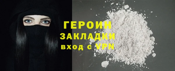 индика Бородино